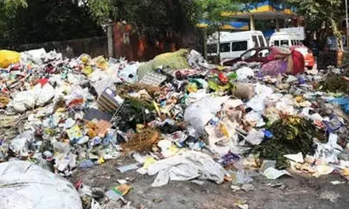 NGT issues notice to MoEFCC, others