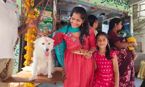Devotees Unique Vow: Pet Dog Offered Gold at Sammakka Sarakka Festival