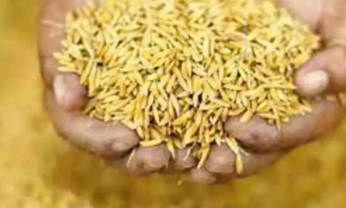 Mandya farmers stay away from MSP for paddy