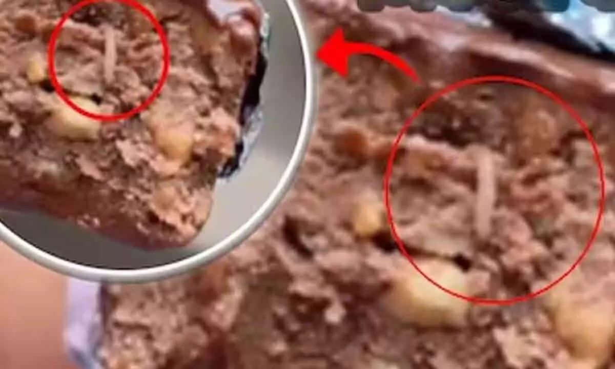 Citizens irked after worm found in Cadbury chocolate