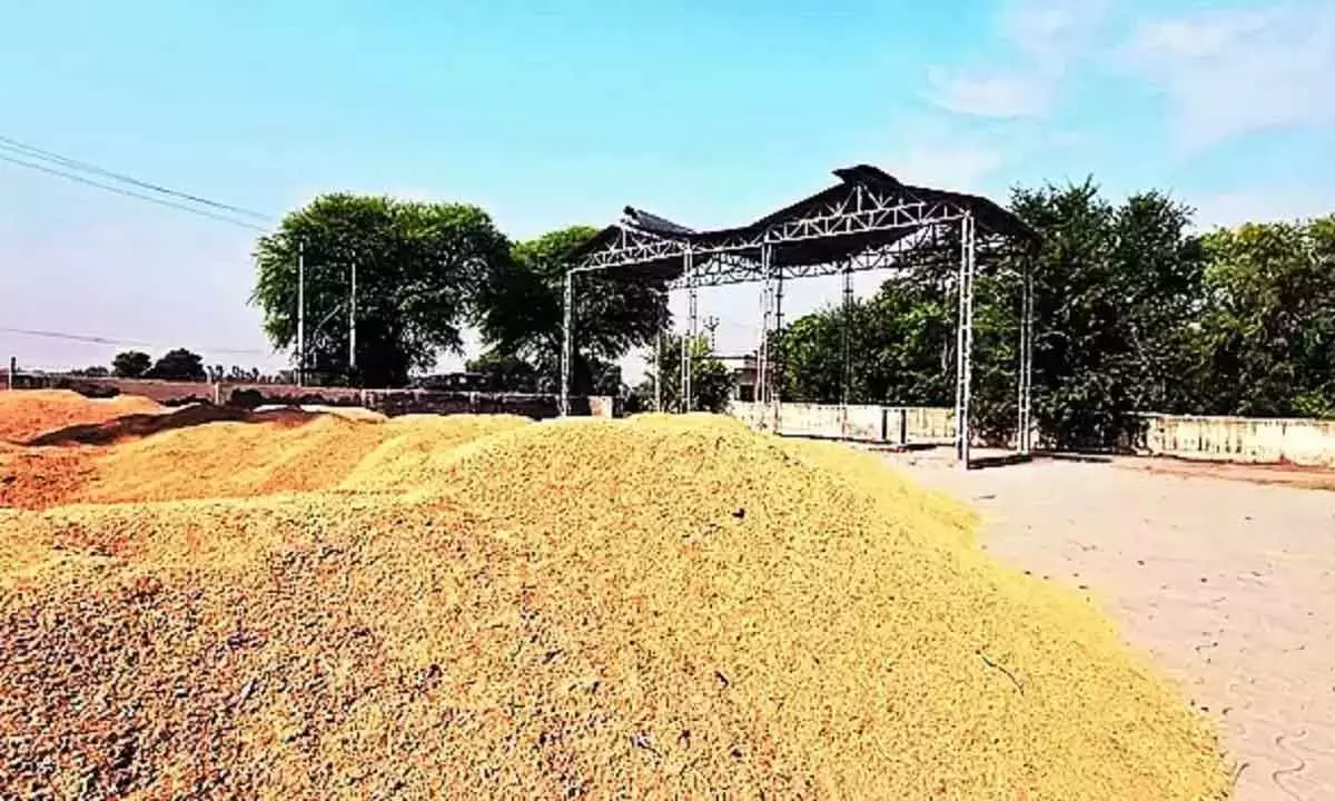 Crackdown on rice millers spurs action
