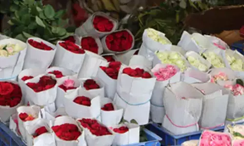 Nepal importing over 3 lakh roses from India for Valentines Day