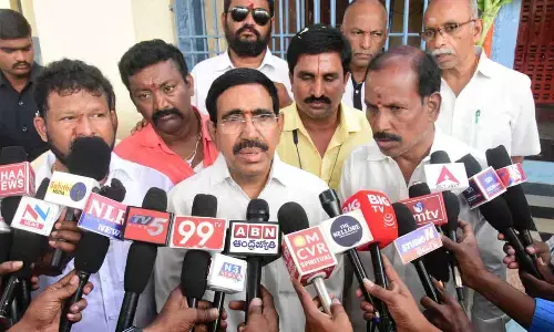 Rathasaptami Celebrations Held at Sri Talpagiri Ranganathaswamy Temple in Santapet, Nellore