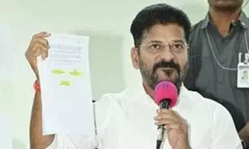 White paper reflects dark policies of BRS