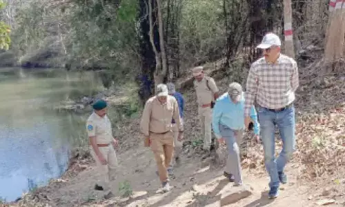 Warangal: Finally, Kakatiya Zoo Park to get tiger