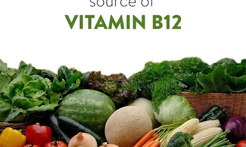 Dont Miss Out! The Essential Guide to Vitamin B12 for Happy Vegetarians