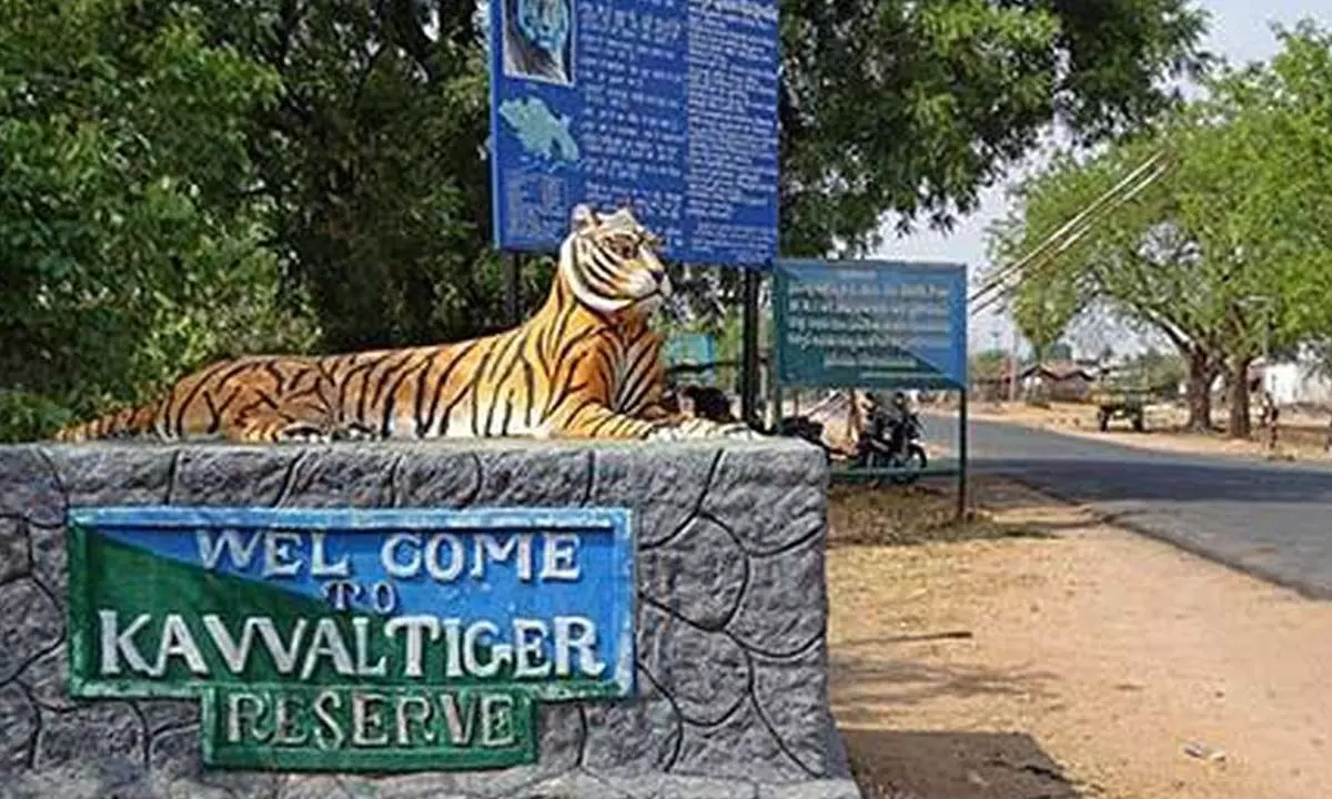 Process of evacuating villages from Kawal Tiger Reserve picks up pace