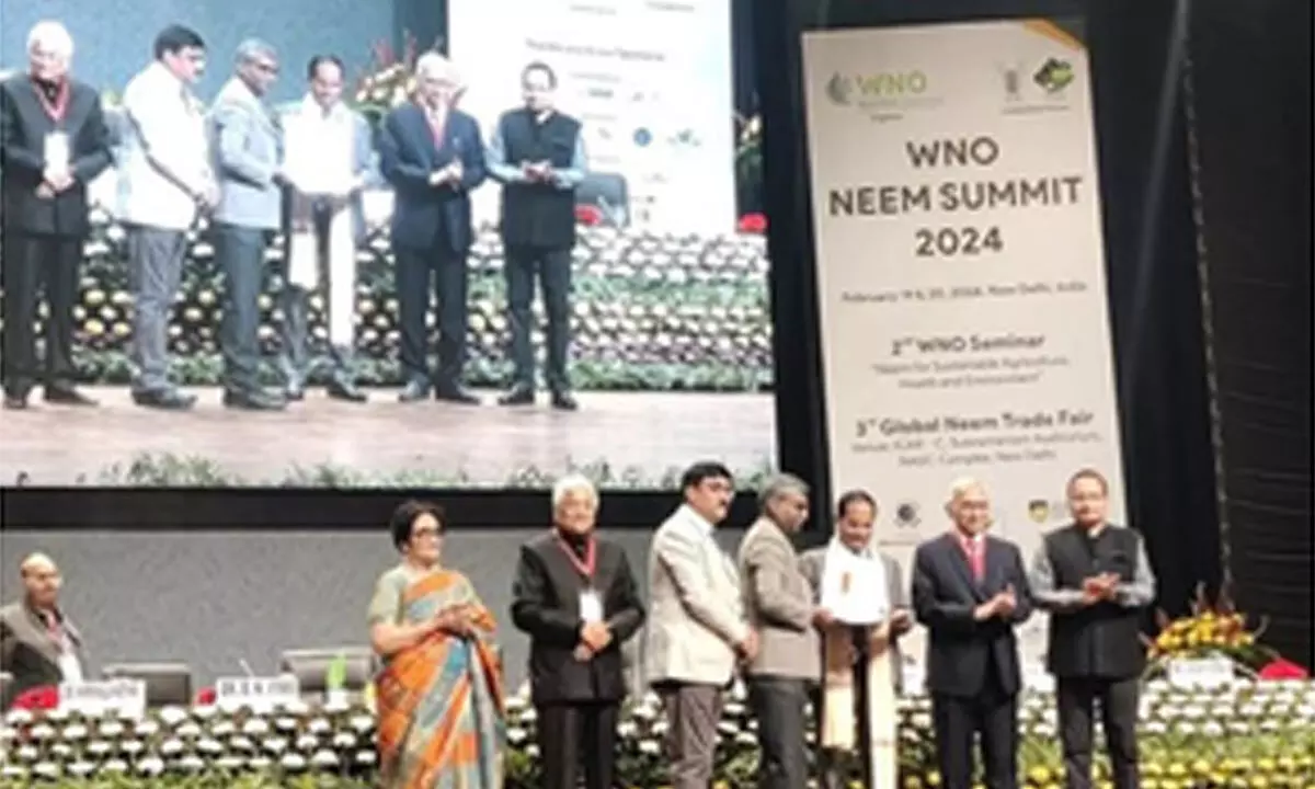 Agro experts see Neem as a forestry plantation option for India