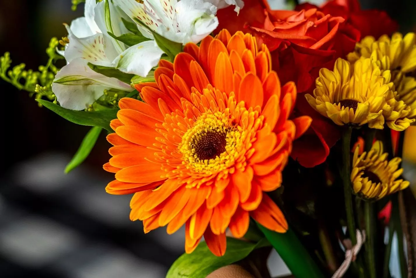 Flowers and Floral Artistry: Mastering the Language of Arrangements