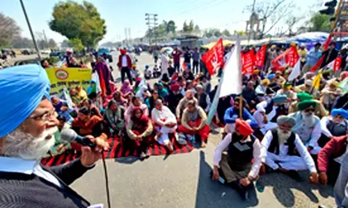 Another farmer dies in protest in Punjab