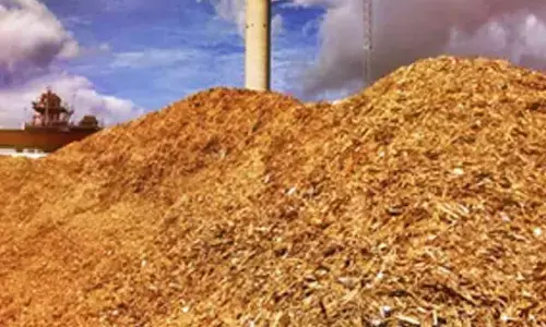 Cooking with biomass fuel in Northeast may pose alarming health risks: IIT-Mandi study