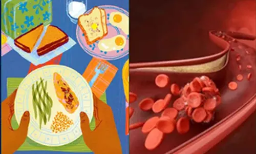 Consuming over 22 per cent protein daily may clog your arteries: Study