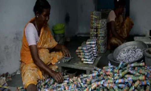 Skill development training mandatory for fireworks factory staff in TN dist