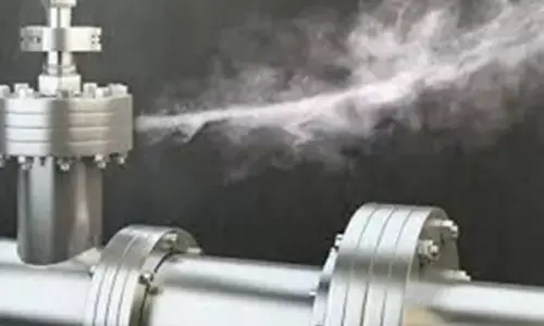 TN fertiliser unit responsible for ammonia leak ready to pay Rs 5.92 cr compensation: Minister