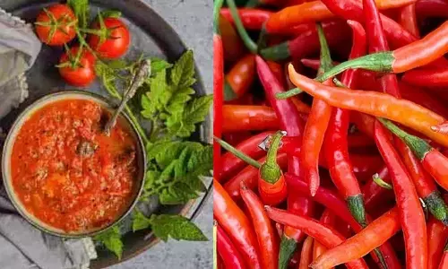 National Chili Day 2024: Date, history and significance