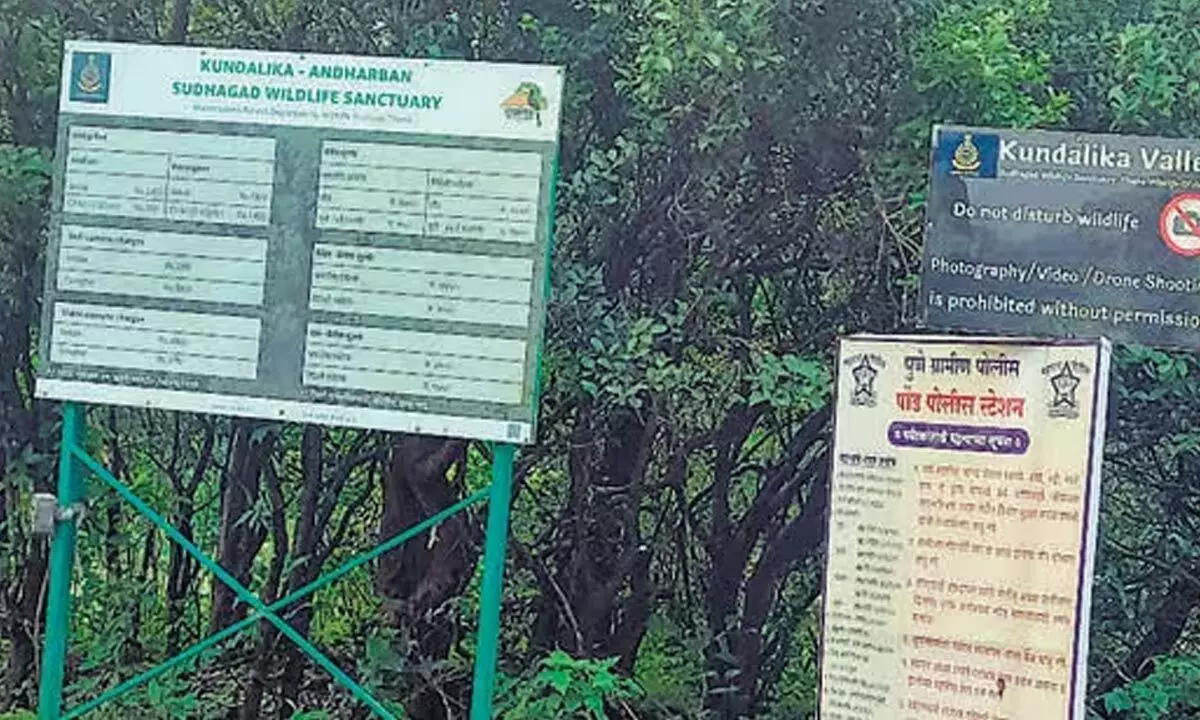 Forest department fined rs 25K to tourists