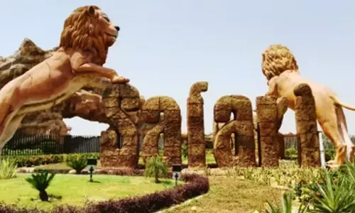 Etawah Lion Safari faces breeding issues with sibling lions