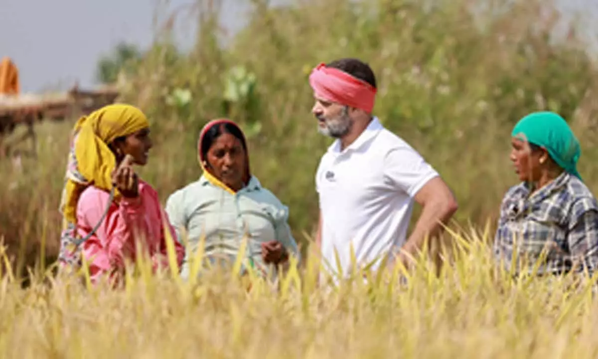 Farm loan waivers: Has Congress used it as poll promise or did it walk the talk?