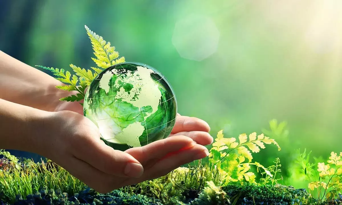List of Environmentally-Friendly Products Spearheading Green Movement for a Healthier Planet