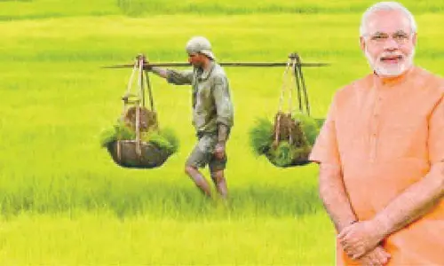 New Delhi: Narendra Modi progressive efforts for Pb’s farmers, ecology