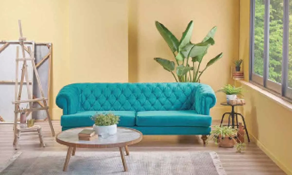 Mastering sofa selection: A comprehensive guide for your living room