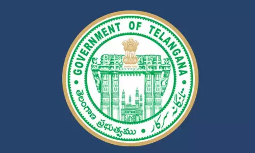 Cabinet Sub-Committee to review GO 317