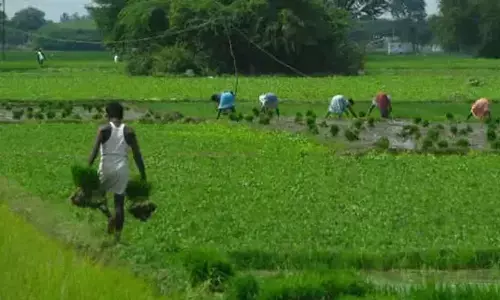 Only a prosperous farming community, social equality can usher in Viksit Bharat