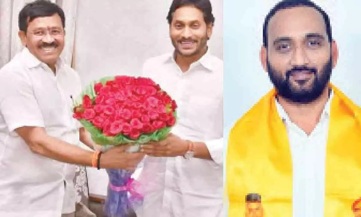 Nellore: Newbies to play tug-of-war in 2024 elections