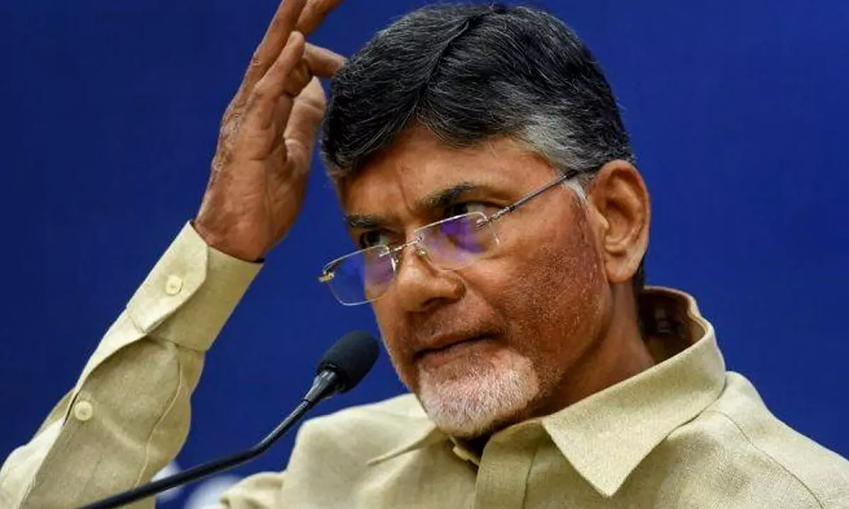 Chandrababu Naidu holds video conference with MLA candidates, asks them work hard for elections