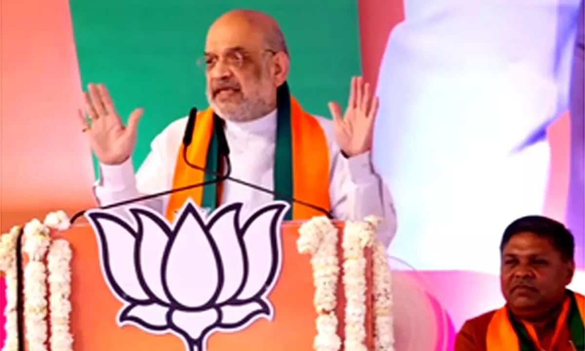 Give all 29 Lok Sabha seats to BJP: Amit Shah to MP voters
