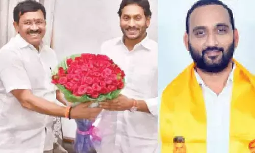 Nellore: Newbies to play tug-of-war in 2024 elections