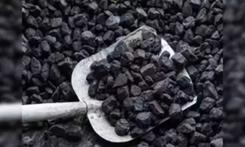 India’s coal imports for power plants fall by 37% as self-reliance grows