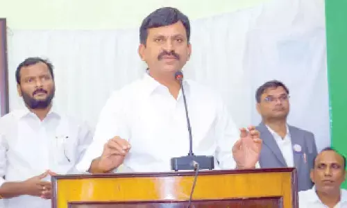 White Paper on Dharani portal soon: Revenue Minister