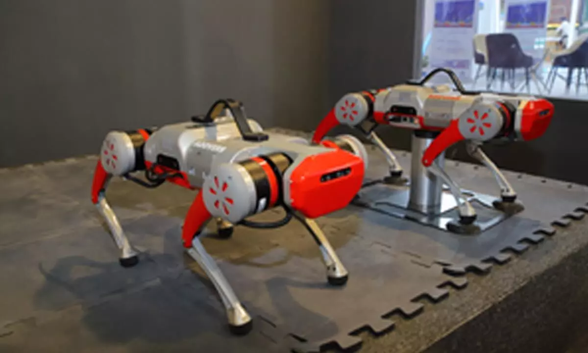 Homegrown Addverb unveils Indias 1st assistive dog robot