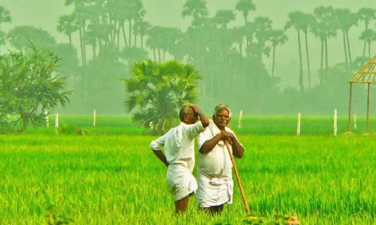 Indian Farmers Concerns: Accurate climate forecasts & insurance