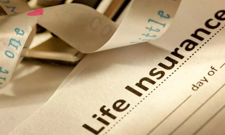 Best Term Insurance Plans: Comprehensive Comparison of Tenure, Premiums