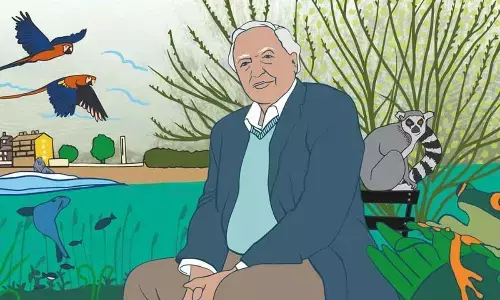 The Essence of Life: Reflections on Purpose, Stress, and Happiness - News Anlaysis