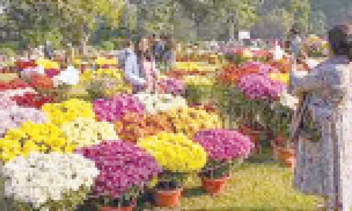 DDA’s two-day flower fest ‘Palaash’ from tomorrow