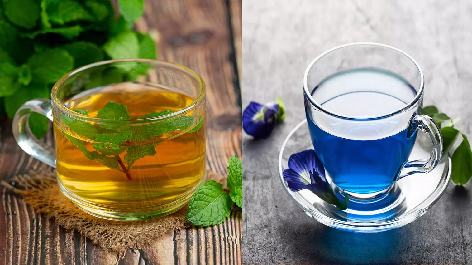 Which Tea Helps you Lose Weight: Green Tea or Butterfly Pea Tea?