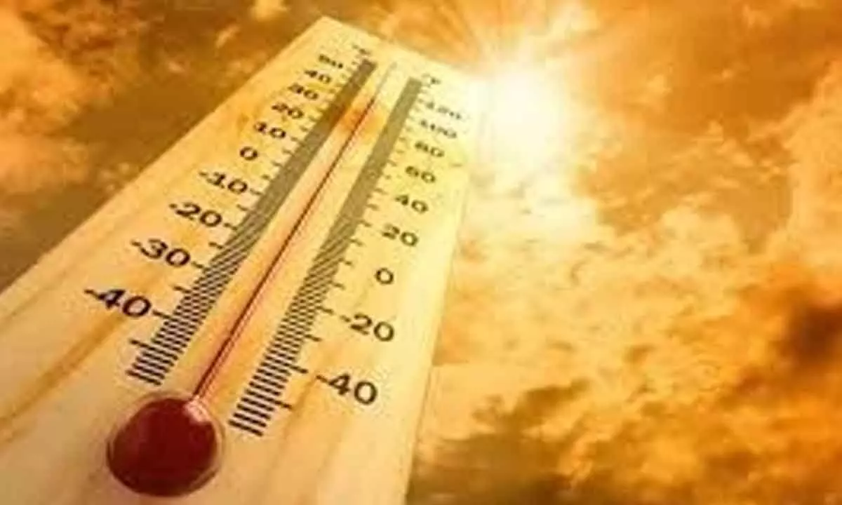 India to see warmer start to summer this year: IMD