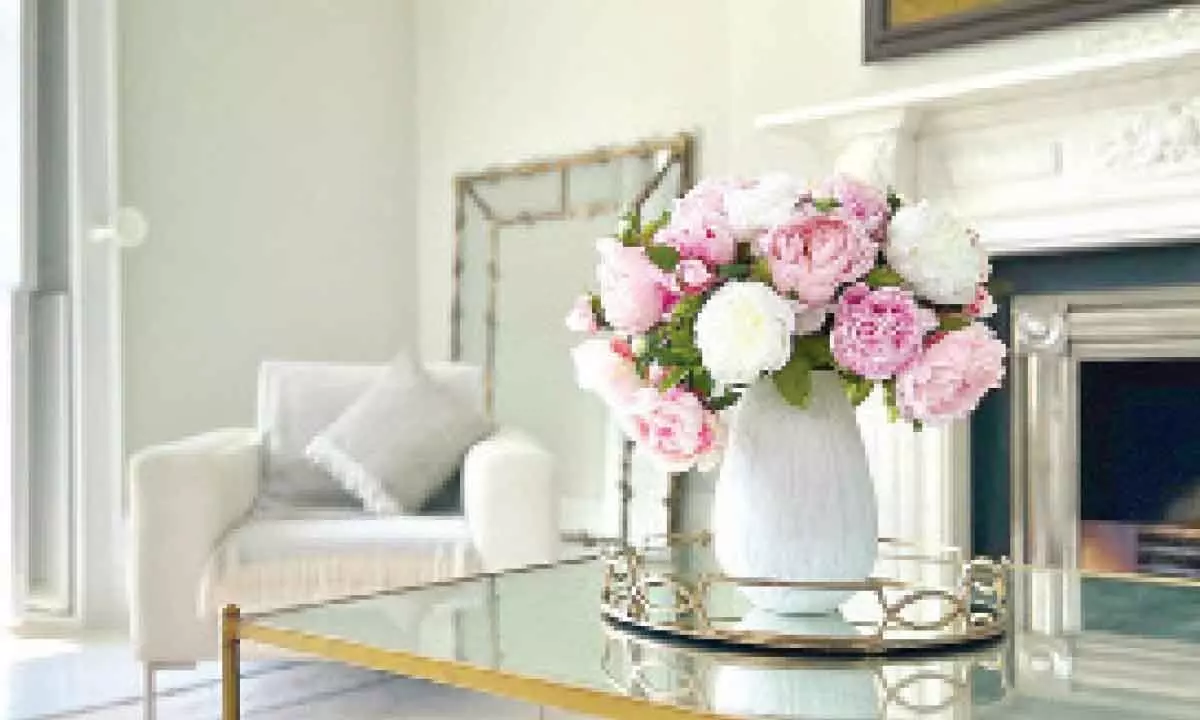 Elevate Your Home’s Ambiance with These 6 Enchanting Decor Plants