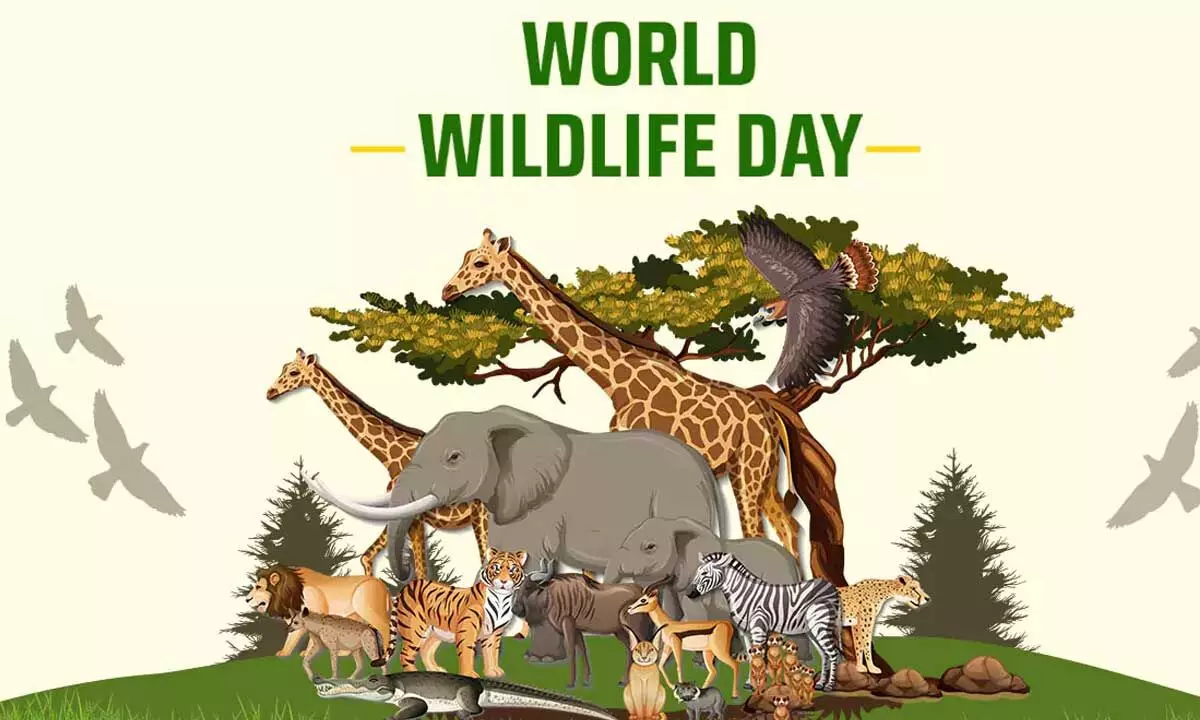 World Wildlife Day 2024: Date, Theme, History and Significance