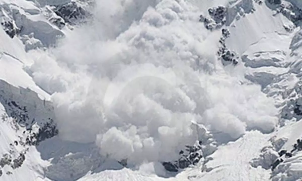 Avalanche damage shops in Himachal