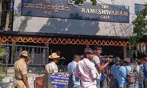 Lone Wolf operators at large?