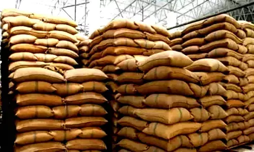 India okays rice exports to Africa in outreach to Global South