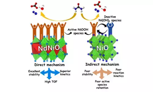 Indian scientists identify new catalyst that can boost urea-assisted water splitting