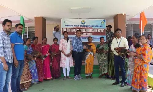 ICAR officials distributing poultry birds to tribals in Parvathipuram Manyam district on Tuesday