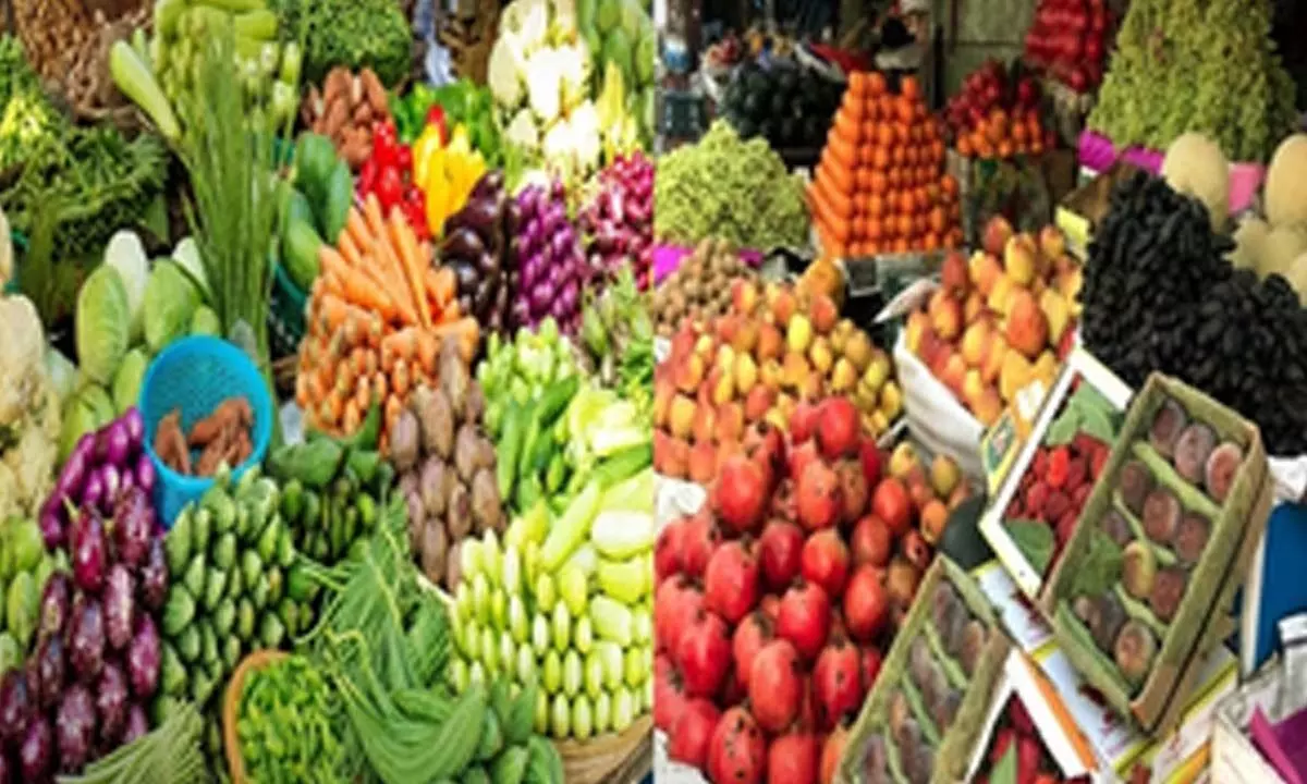 Indias horticulture production pegged at 355.25 million tonnes for 2023-24