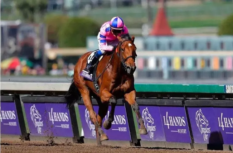 Everything you need to know about the 2024 Breeders Cup