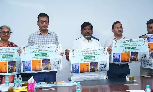 Bhatti launches online portal for power services